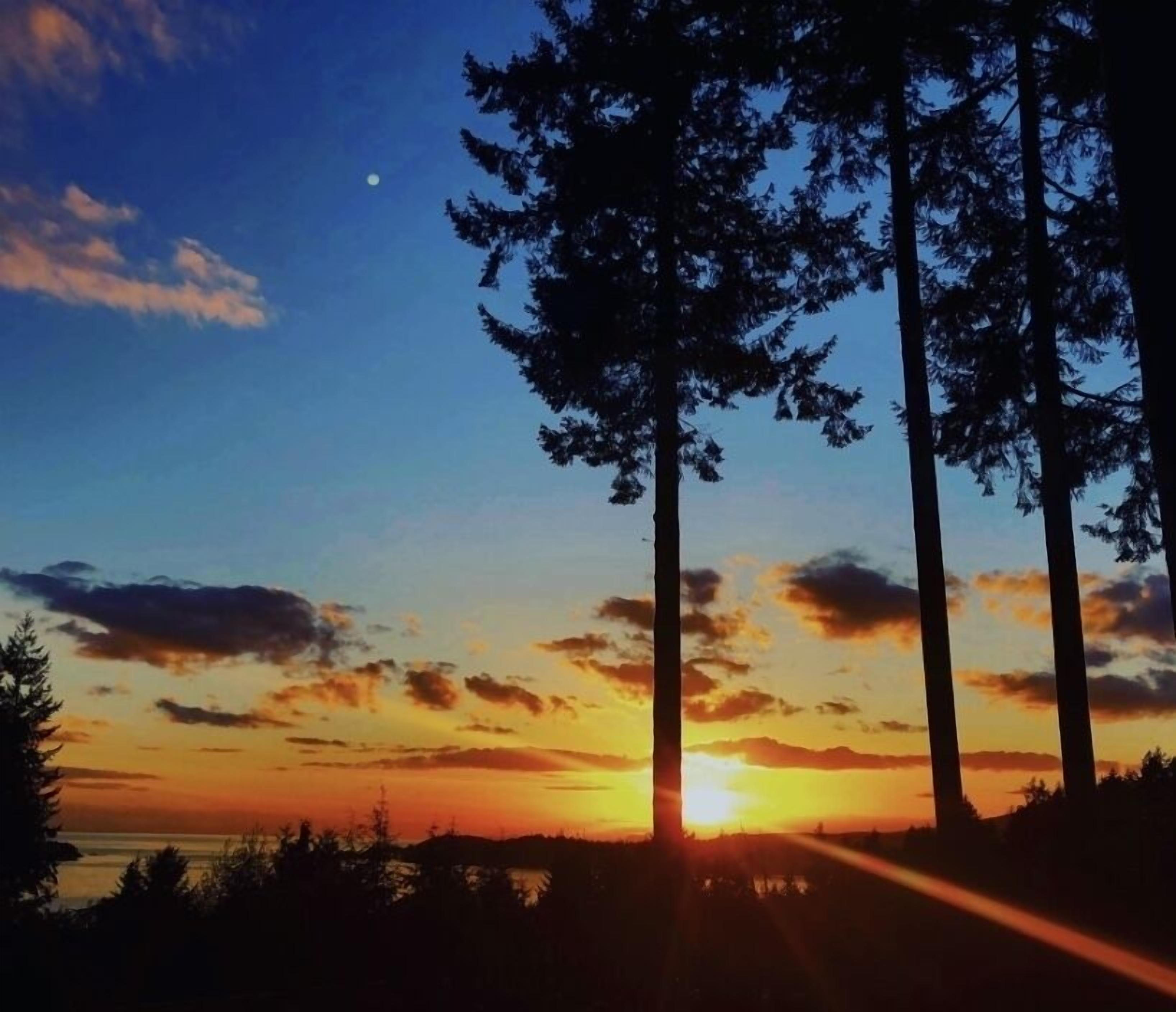 Ein Sonnenuntergang mit Baumkanten vor blauem Himmel.