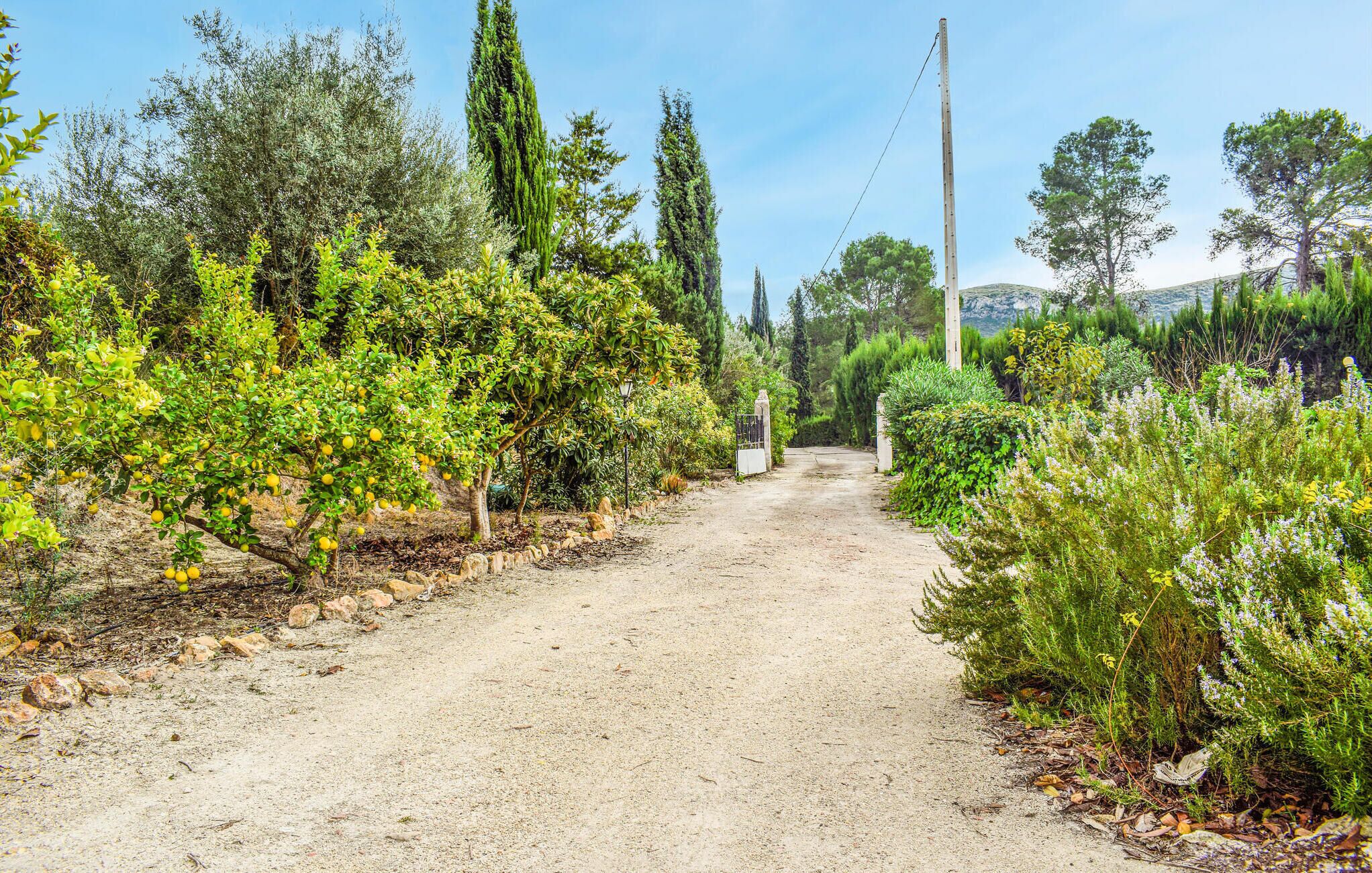Un chemin de gravier bordé de divers arbustes et arbres verts, qui mène à un portail.