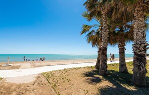Playa en los alrededores 