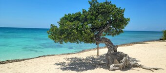 Charming apartment in peaceful Noord, Aruba