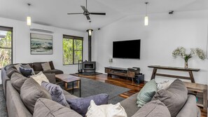 Smart TV, chimenea, reproductor de DVD y estéreo 