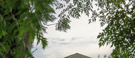 A single-story house with a sloped roof, a small front yard, and a tree in the foreground.