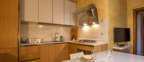 Fridge, stovetop, dishwasher