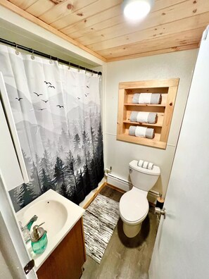 Combined shower/bathtub