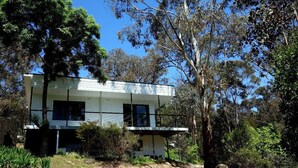 Uma casa moderna de dois andares com telhado plano e janelas amplas, cercada por vegetação densa e árvores.