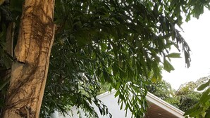 Entrada a un jardín con un cartel que dice 'Bienvenidos a nuestro jardín', un edificio blanco con una ventana y macetas con plantas.