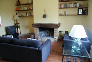 TV, fireplace, books, stereo