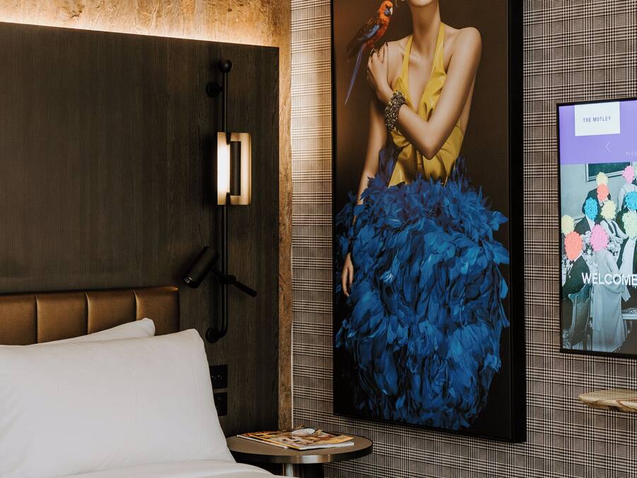 Una habitación de hotel moderna con una cama grande, un televisor montado en la pared y un retrato enmarcado de una mujer con un loro.