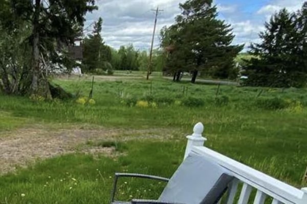Back/side porch where you can sit and relax with the visiting deer and wildlife!