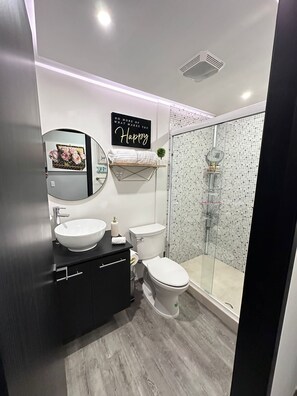 Chuveiro, secador de cabelo, toalhas de banho, sabonete