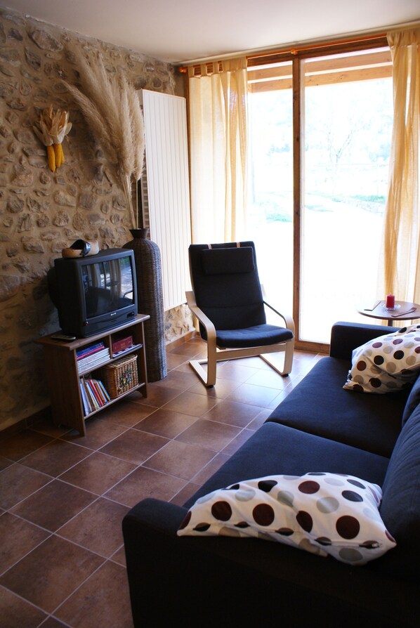 TV, fireplace, DVD player, books