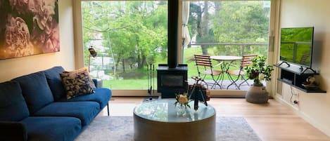 Fireplace, DVD player, books, video library