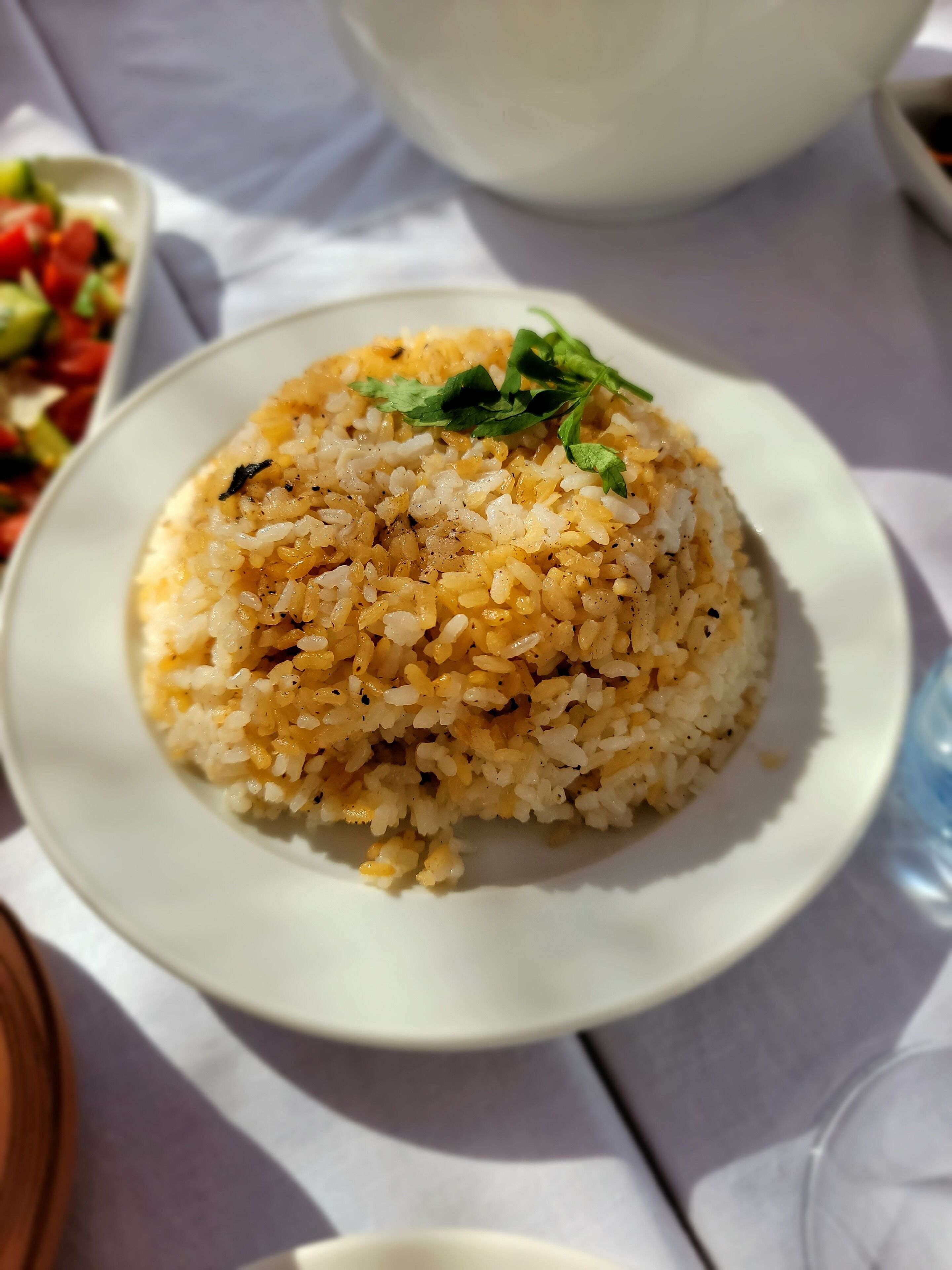 Plato de arroz sazonado adornado con perejil, sobre un plato blanco.