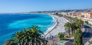 A coastal cityscape with a beach, palm trees, and a road with a green bike lane. - Beautiful 120m2 Flat in bourgeois building with terrace (Cannes)