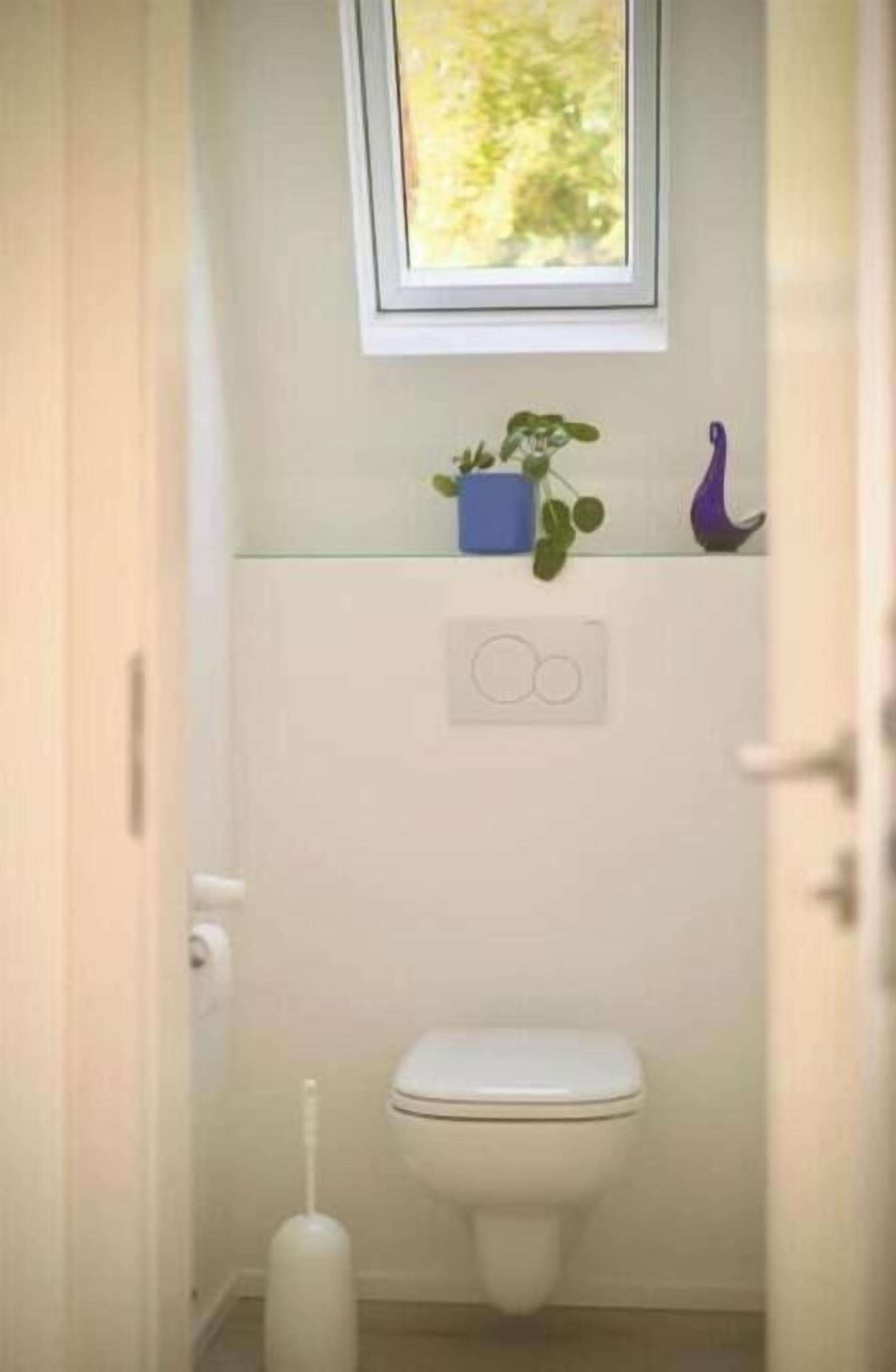 Un bany petit amb vàter, una finestra, un mecanisme d'aigua de paredda i una petita estant amb una planta i un objecte morat.