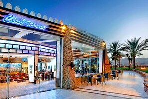 5 bars/lounges, poolside bar, beach bar - Albatros Sharm Resort - By Pickalbatros (Sharm El Sheikh)