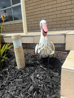 Exterior detail - Pelicans Rest Albany, 5 min to the beach, 6 min to city. Great all year round! (Collingwood Park)