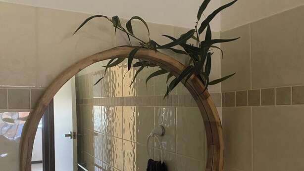 A bathroom with a round mirror, a towel rack, and a potted plant. - Pelicans Rest Albany, 5 min to the beach, 6 min to city. Great all year round! (Collingwood Park)