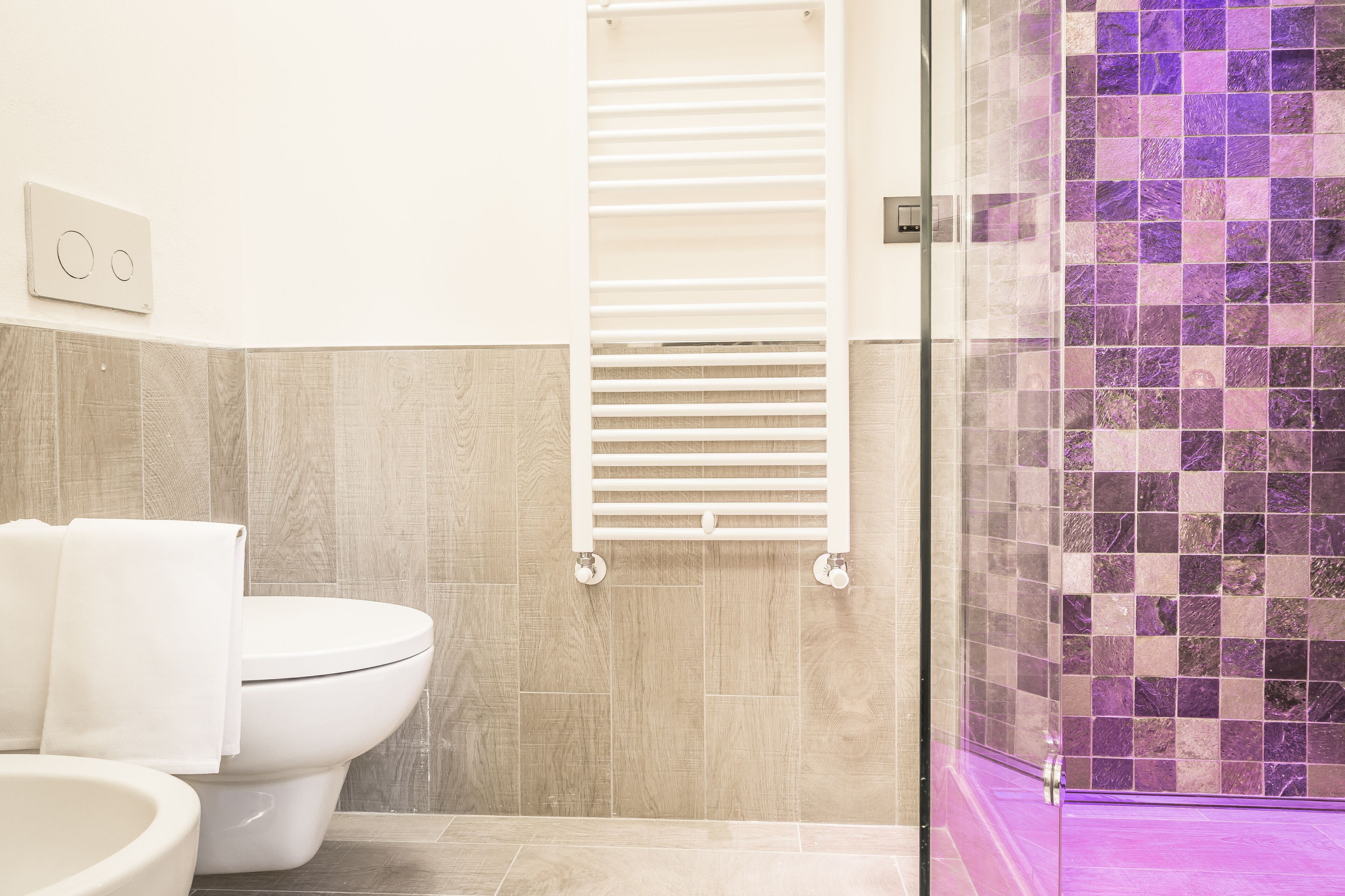 Ein Badezimmer mit Toilette, Bidet und einer Duschkabine aus Glas.