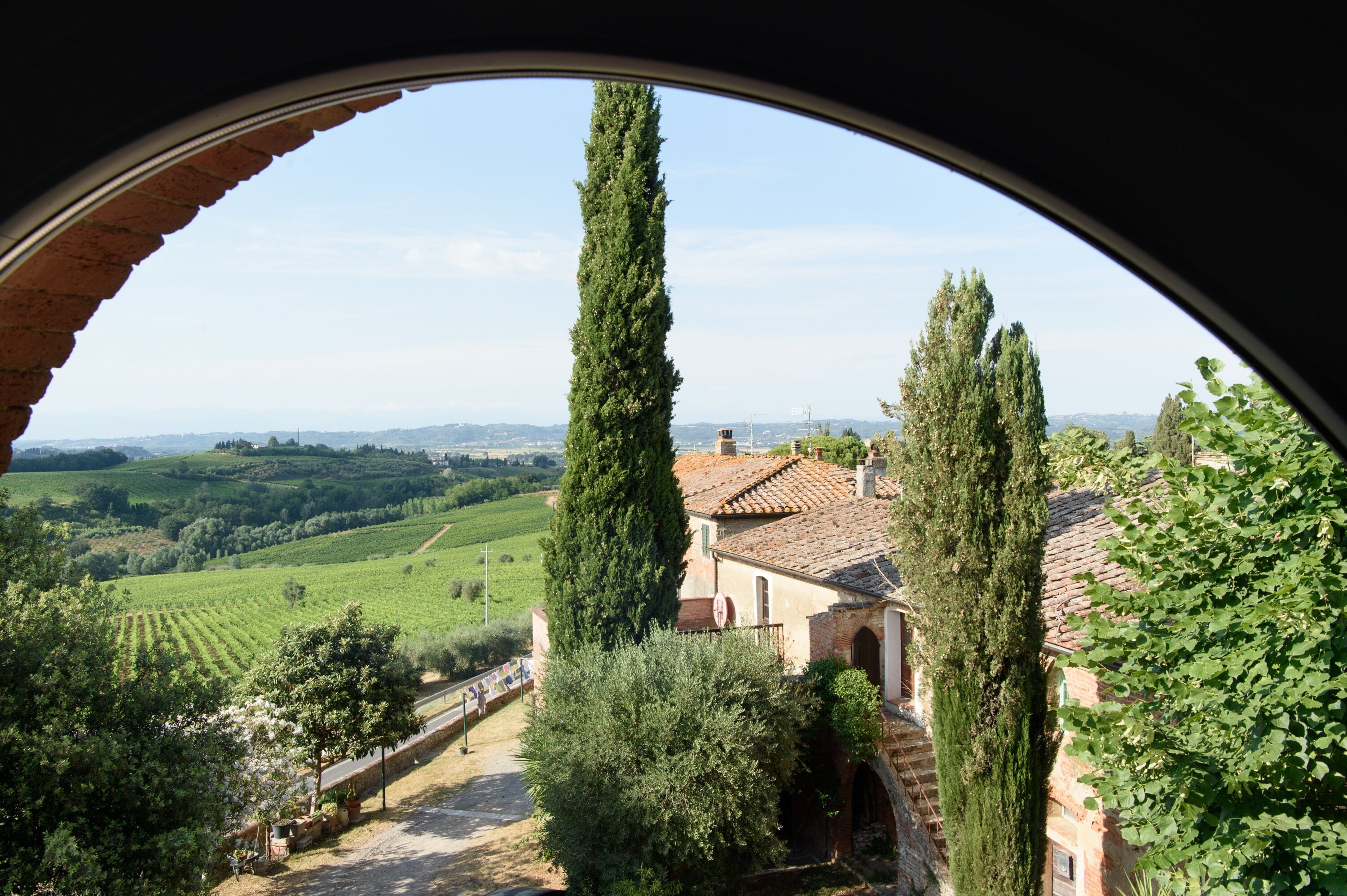 A view through a circular window of a rural landscape with vineyards, tall cypress trees, and traditional buildings.