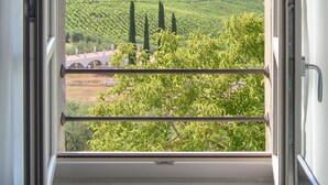 Una ventana con vistas a un viñedo y edificios lejanos.