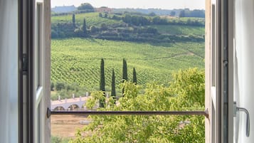 Suite ejecutiva | Vista desde la habitación