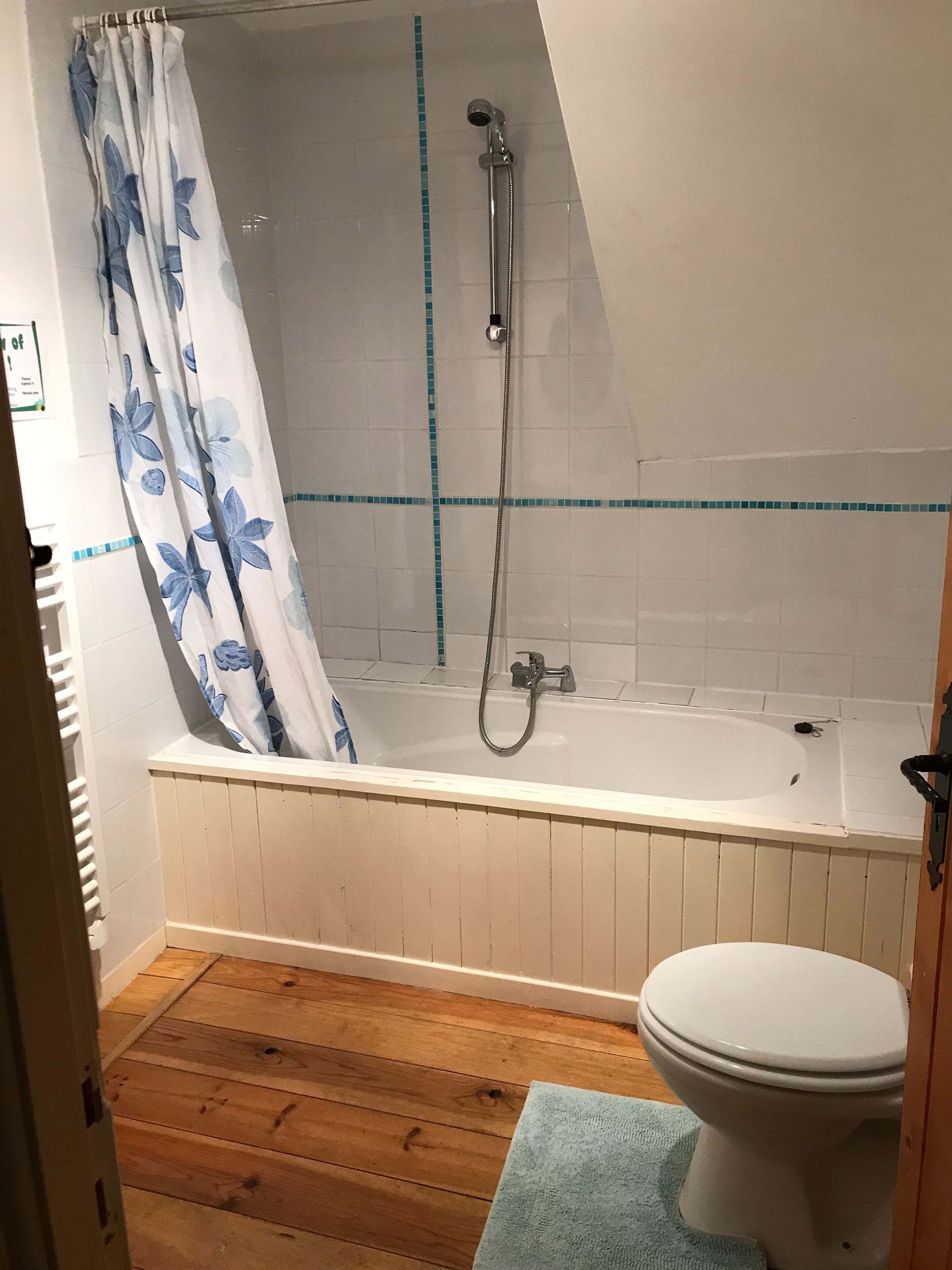 A bathroom with a shower, toilet, and wooden flooring.