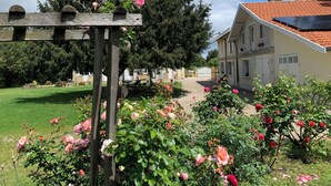 Uklassifisert bilde, 3 av 42, knapp