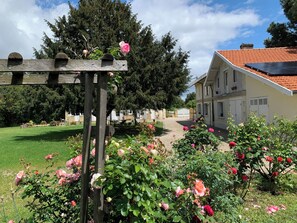 Um jardim com rosas e um pergolado de madeira.