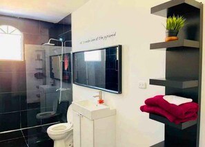 Shower, towels, soap, toilet paper