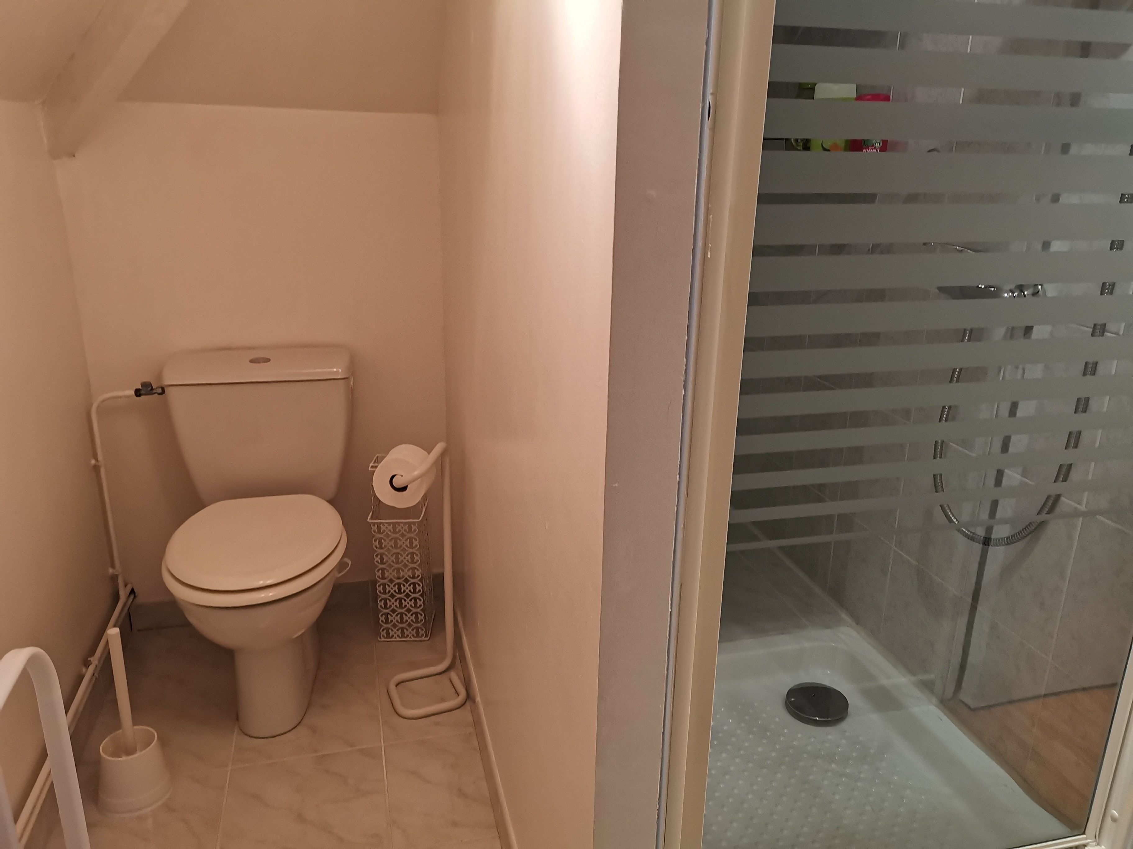 A bathroom with a toilet, a shower, and a glass door.