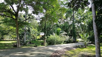 Jardines del alojamiento