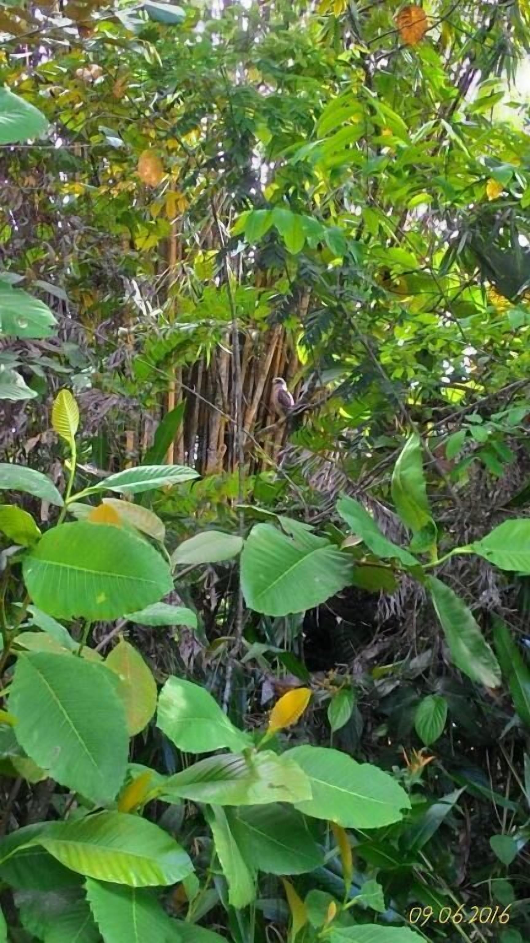 Kawasan hartanah