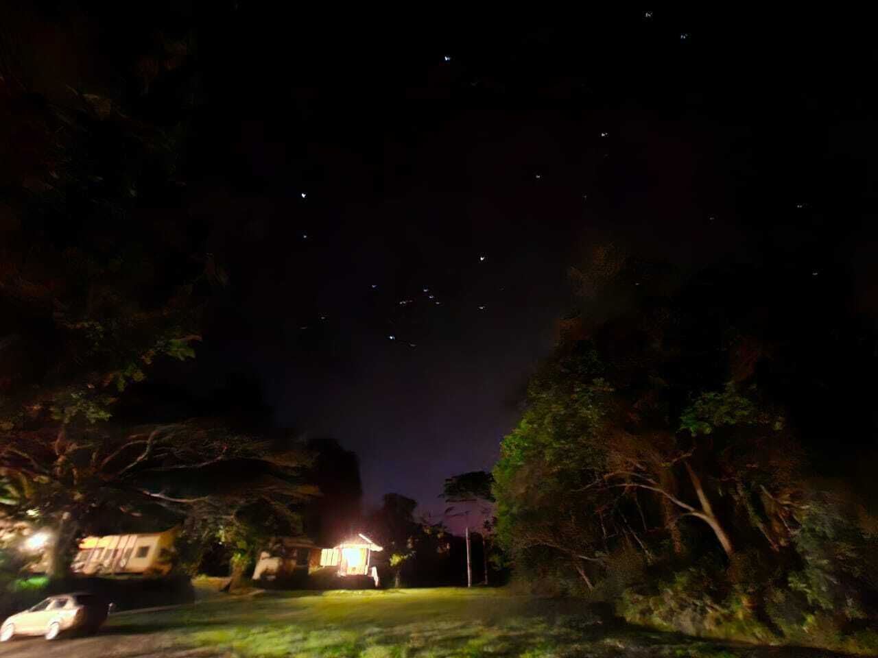 A nighttime view of a residential area with houses and trees.