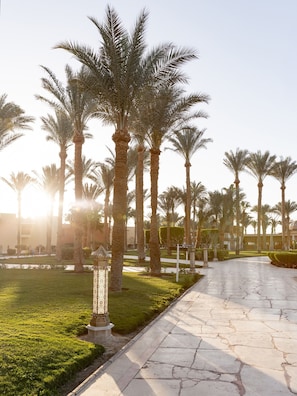 A pathway lined with palm trees and a well-maintained lawn, leading to a building with a traditional architectural style.