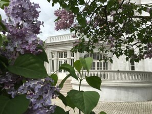 المنطقة المحيطة بالمنشأة