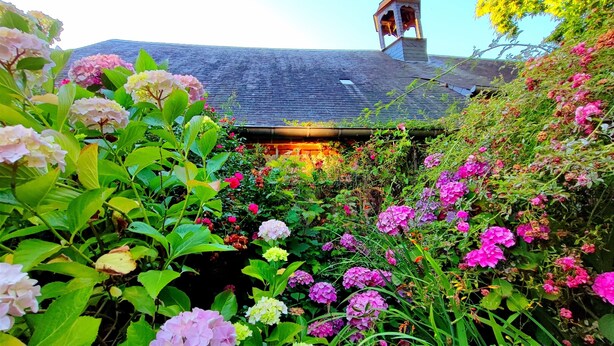 Een tuin met verschillende bloemen en een gebouw met een klokkentoren.
