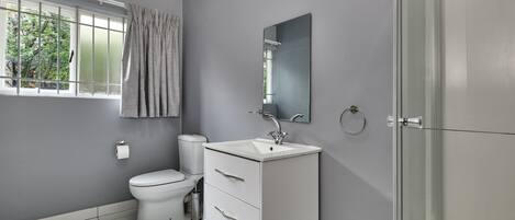 A modern bathroom with a toilet, sink, and mirror.