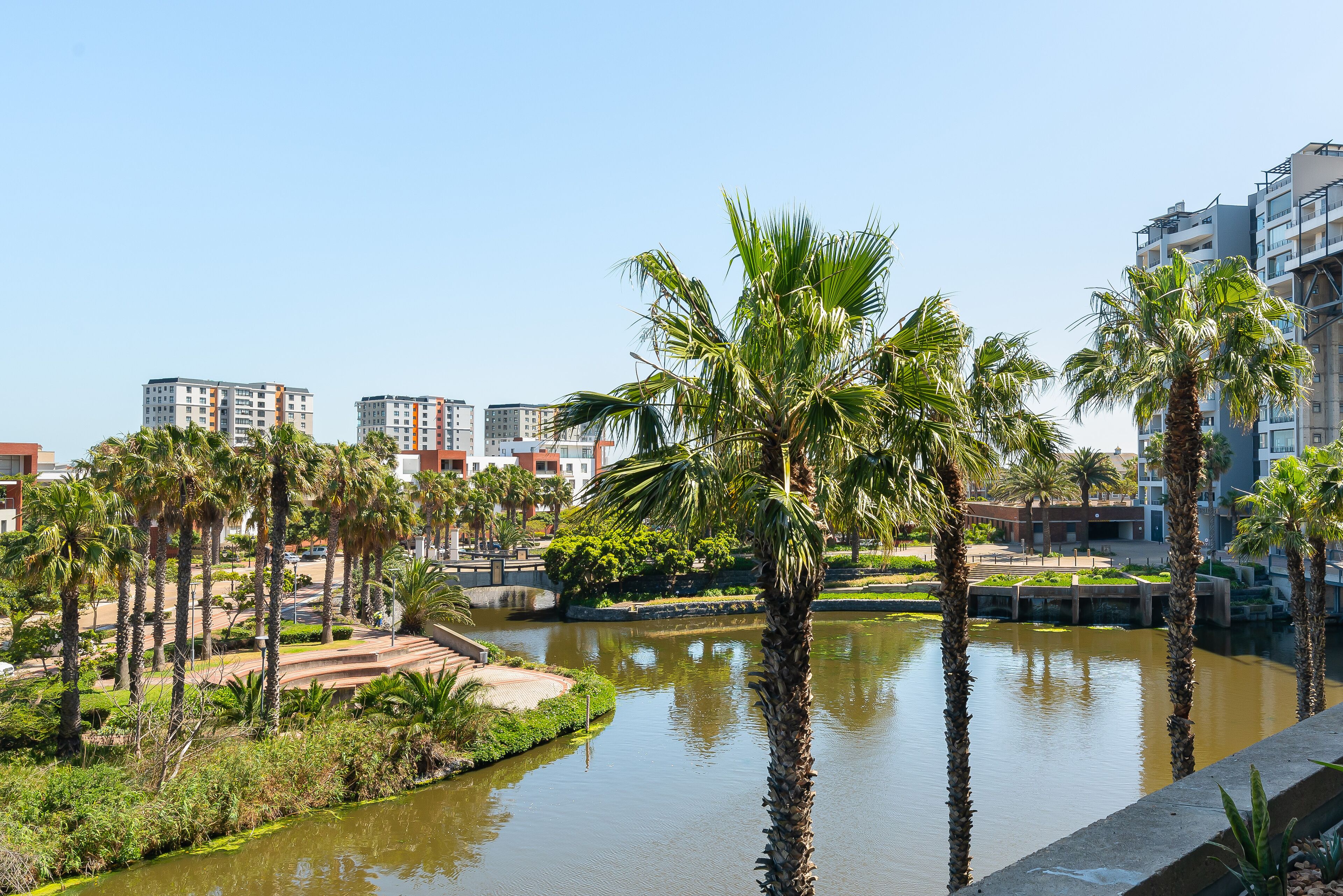 A riverside view with palm trees and modern buildings in the background.