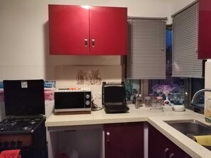 Fridge, microwave, oven, electric kettle