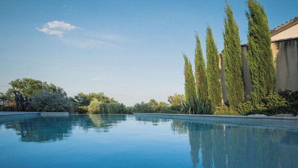 A clear swimming pool with a calm water surface, surrounded by tall, slender trees and a variety of shrubs. - Spacious, comfortable stone farmhouse with swimming pool for 8 people in Uzès (GARRIGUES STE EULALIE)