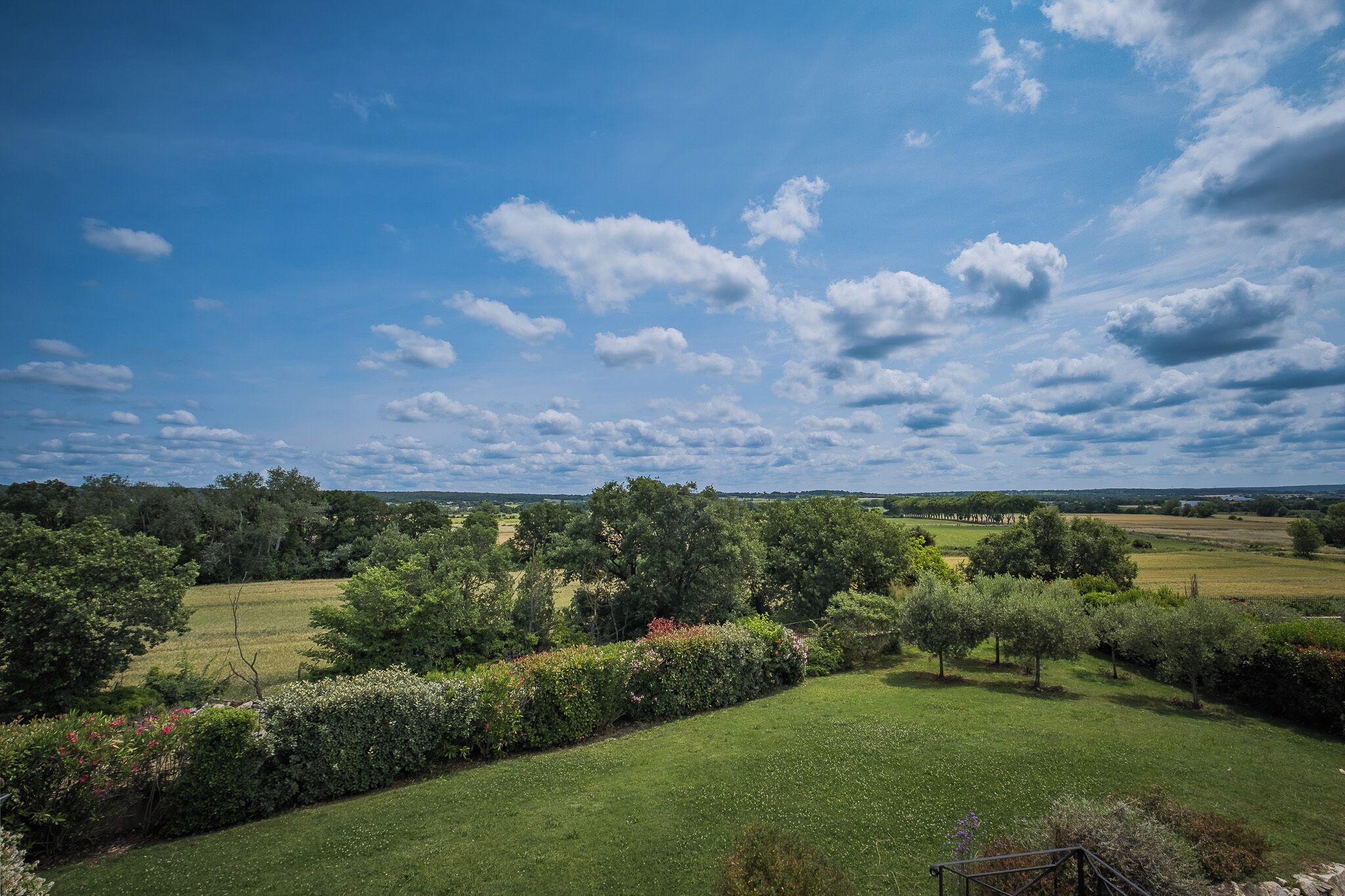 Een landelijk landschap met glooiende groene velden, verspreide bomen en een helderblauwe lucht met wolken.