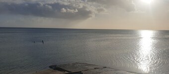 Sea Salt Apartment Main - Short walk to beach! Free WiFi! newly decorated!