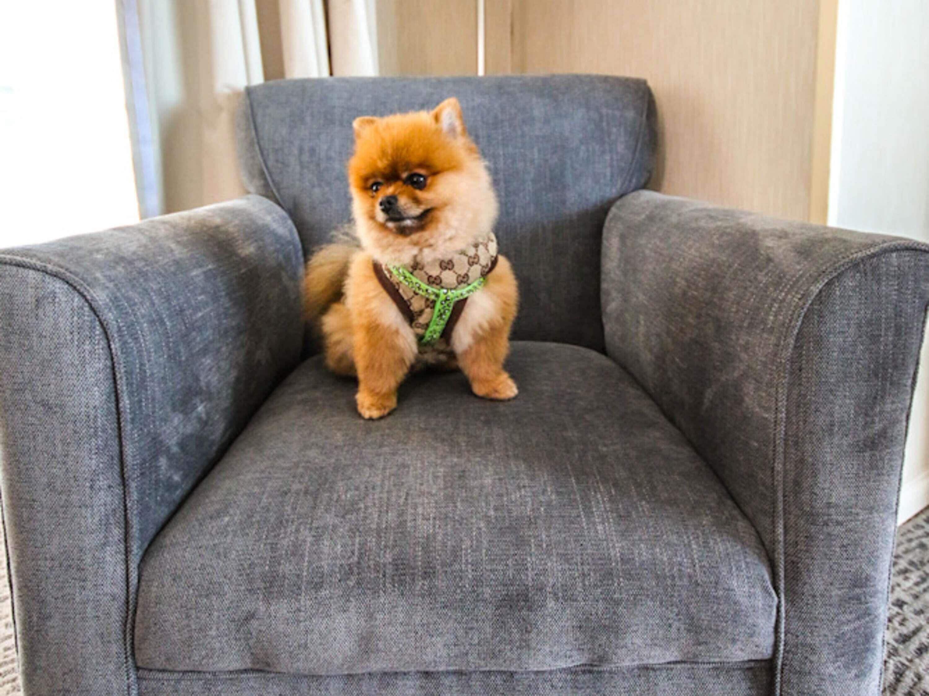 Foto - Novotel Puerto Montt