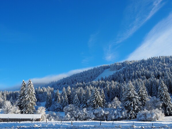 Shower, hair dryer, towels, toilet paper