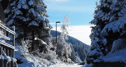 Pagotin chalet with beautiful view