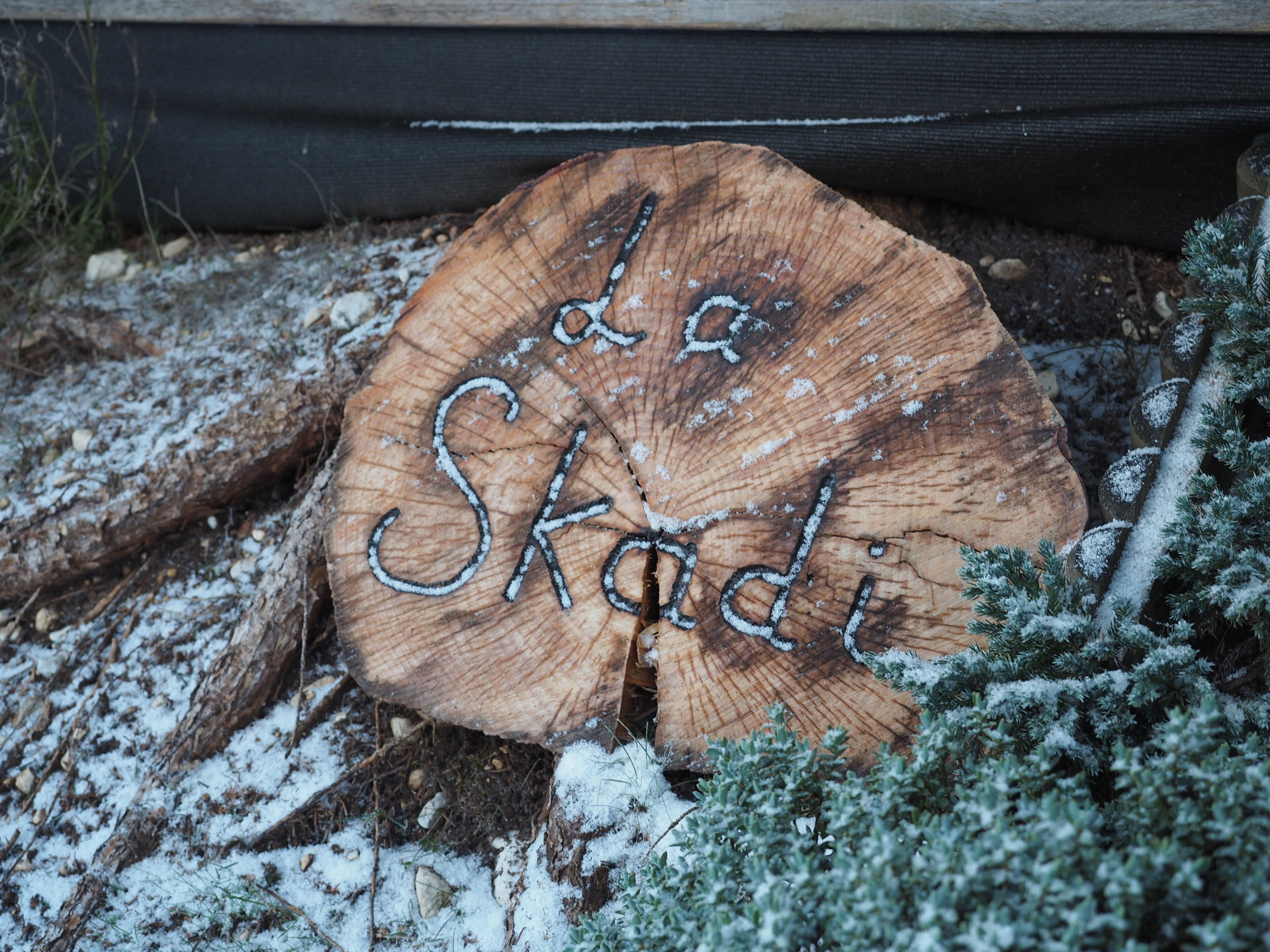 A wooden sign with the name 'Skaid' carved into it, surrounded by snow and greenery.