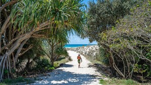 Un sentier sablonneux menant à une plage, bordé d’une végétation luxuriante et d’arbres.