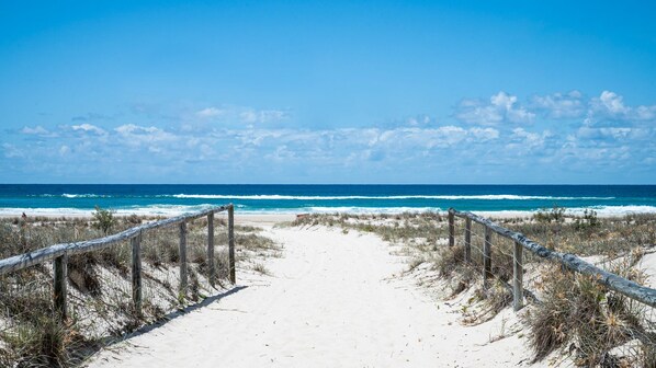 Walk along the beach pathway to the ocean, flanked by fences, amidst natural vegetation.