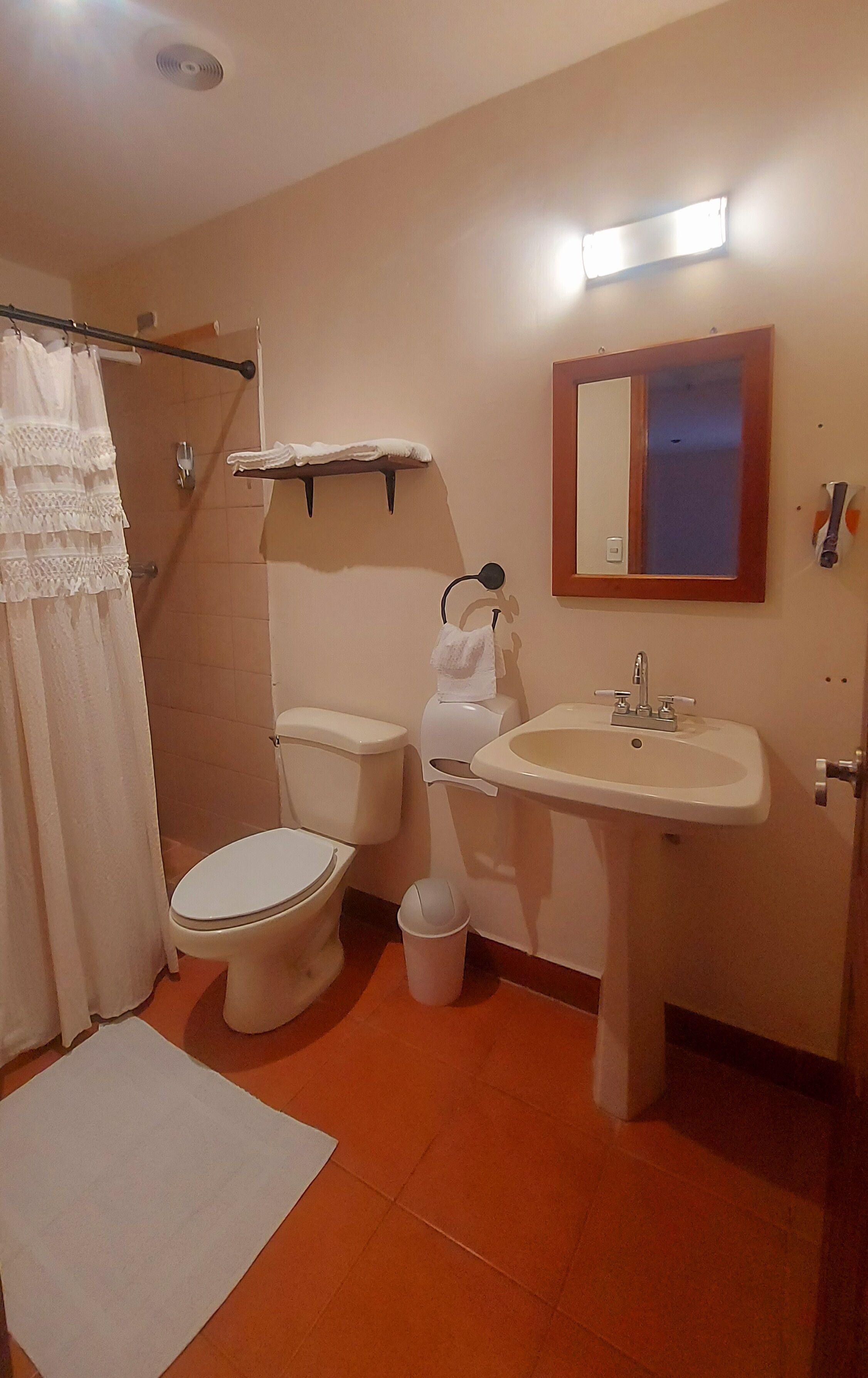 A bathroom with a toilet, sink, and shower curtain.